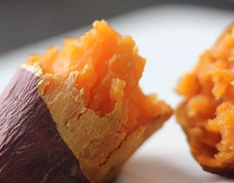 菜加饼的做法大全：解锁家常美食新境界